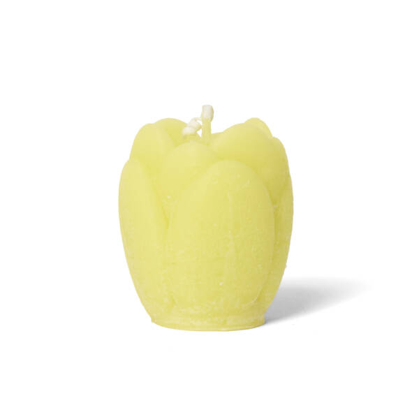 Tulpen kaars geel